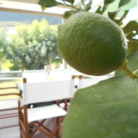 Apartament Art Sailing