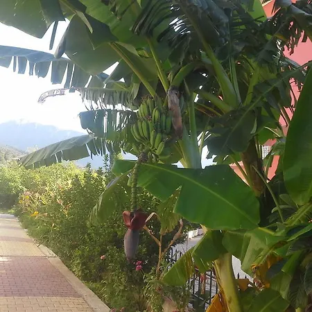 Art Sailing Apartamento