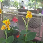 Art Sailing