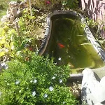 Art Sailing Apartament